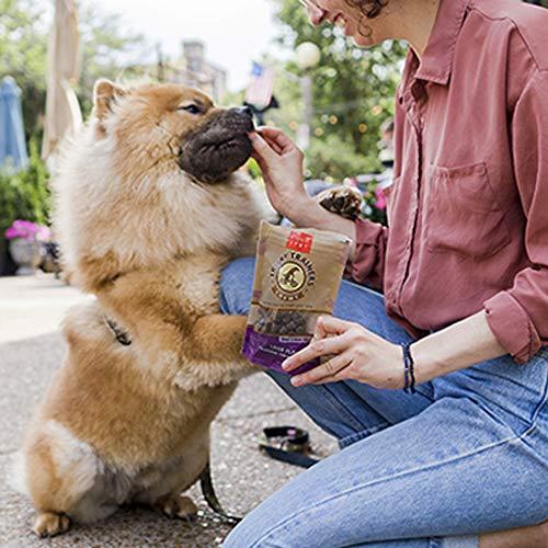 Chewy, Low Calorie Training Treats (14oz) | AKC Shop