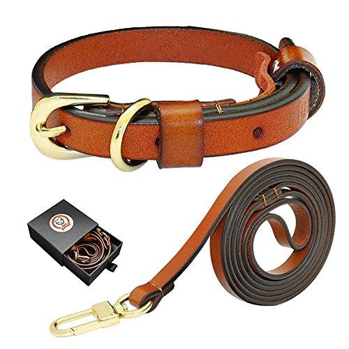 dog leash set