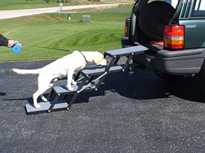 ramp to get dog in car