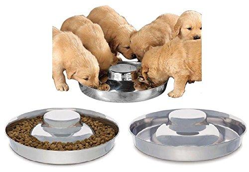 puppy feeding bowl