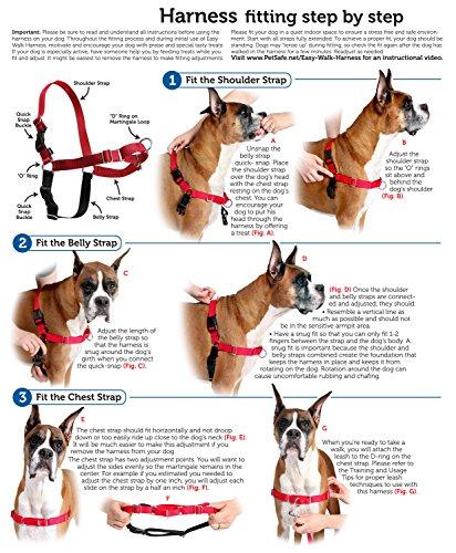 easy walk harness and leash