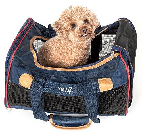 igo2 pet carrier