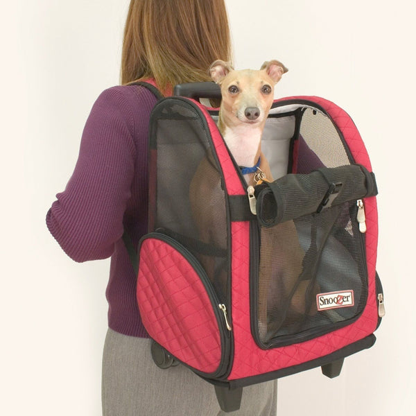 Dog Carriers for Large & Small Dogs | AKC Shop