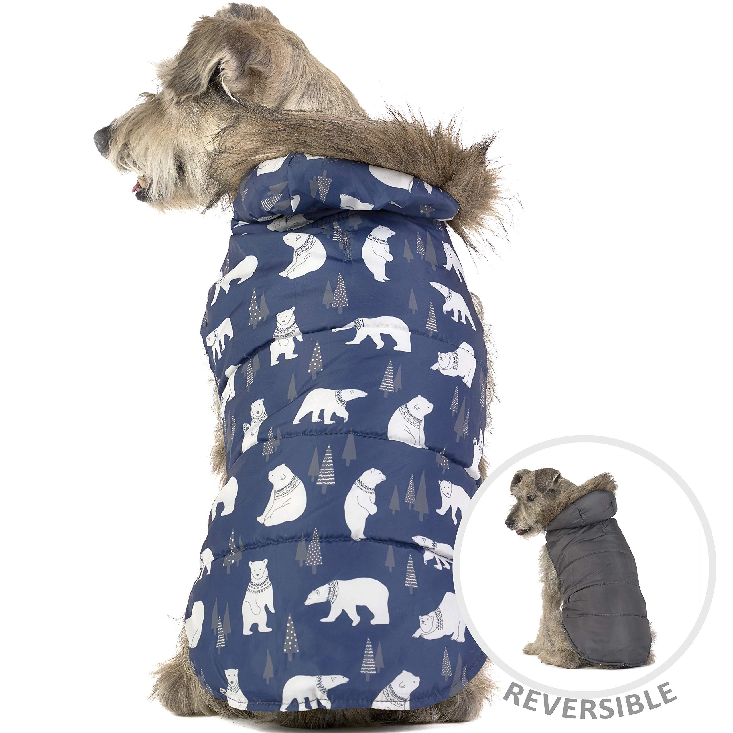 x small dog jacket