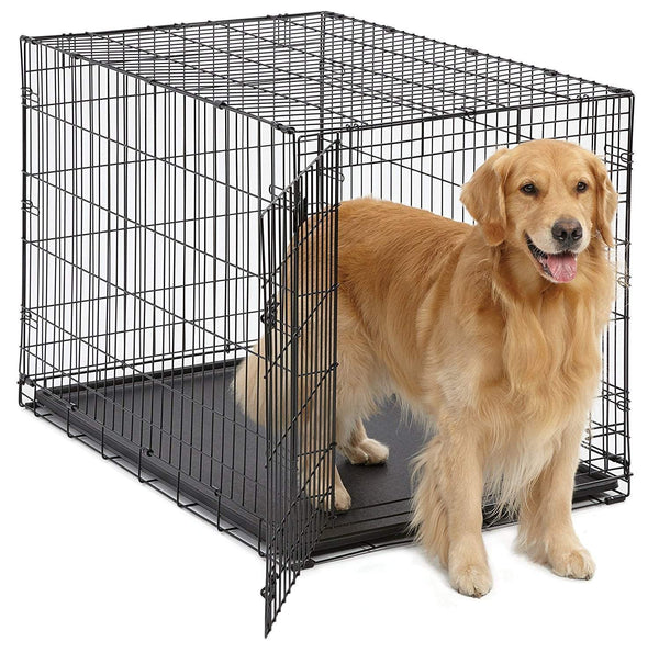 folding dog crate