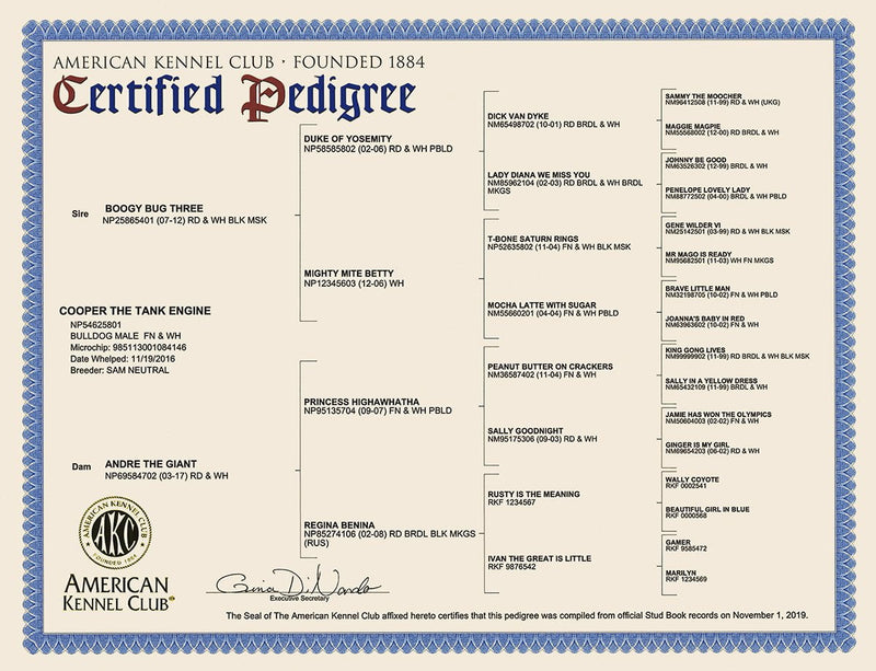 akc-certified-pedigrees-akc-shop