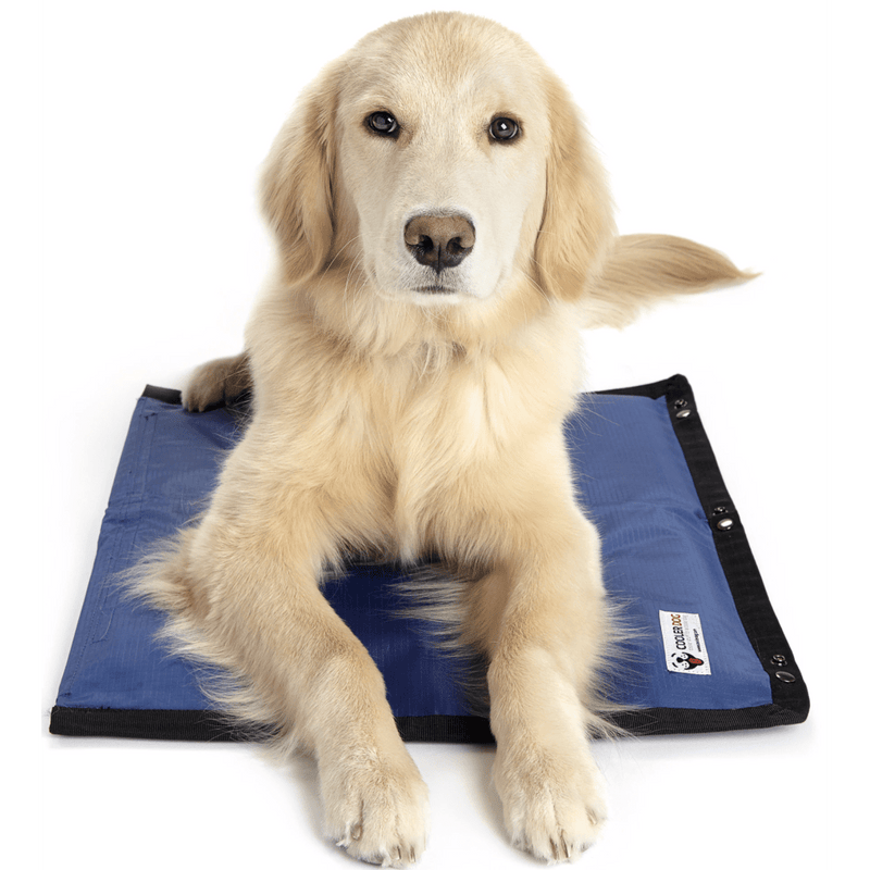 akc dog cooling mat