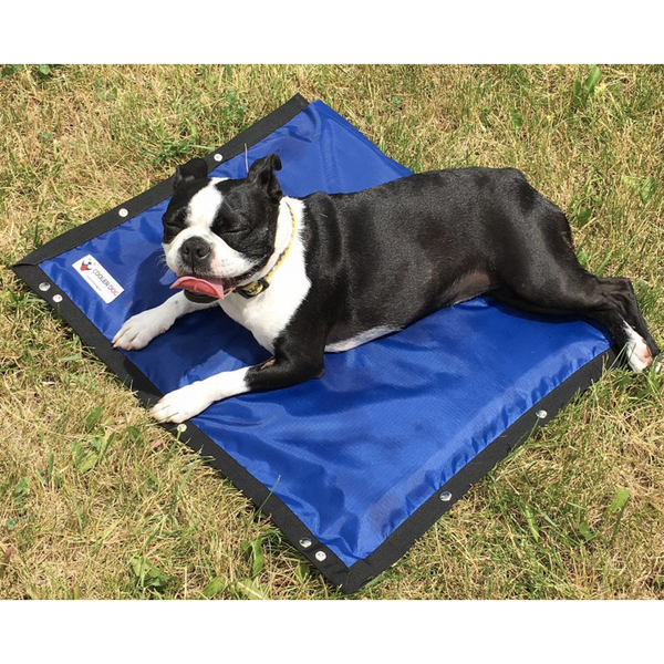 akc cooling mat reviews