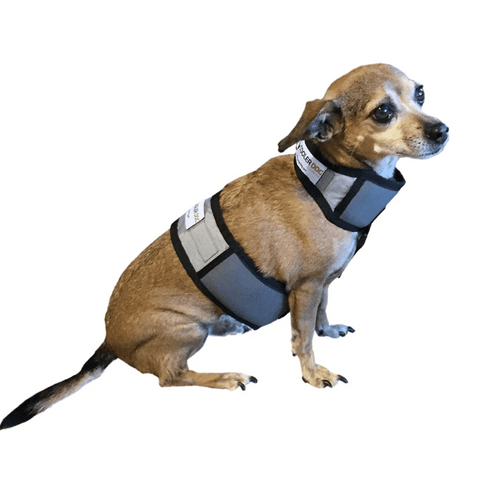 akc cooling mat reviews