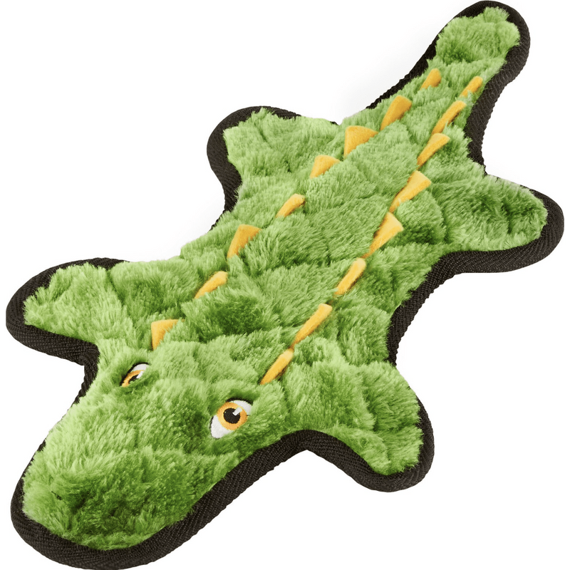 Frisco Flat Plush Squeaking Alligator Dog Toy, Medium | AKC Shop