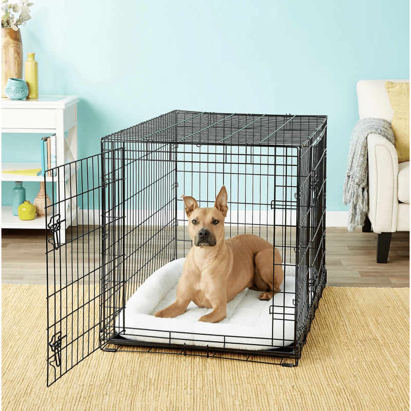collapsible wire dog crate