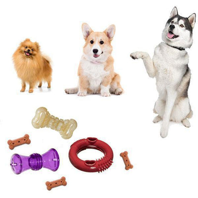 akc dog toys