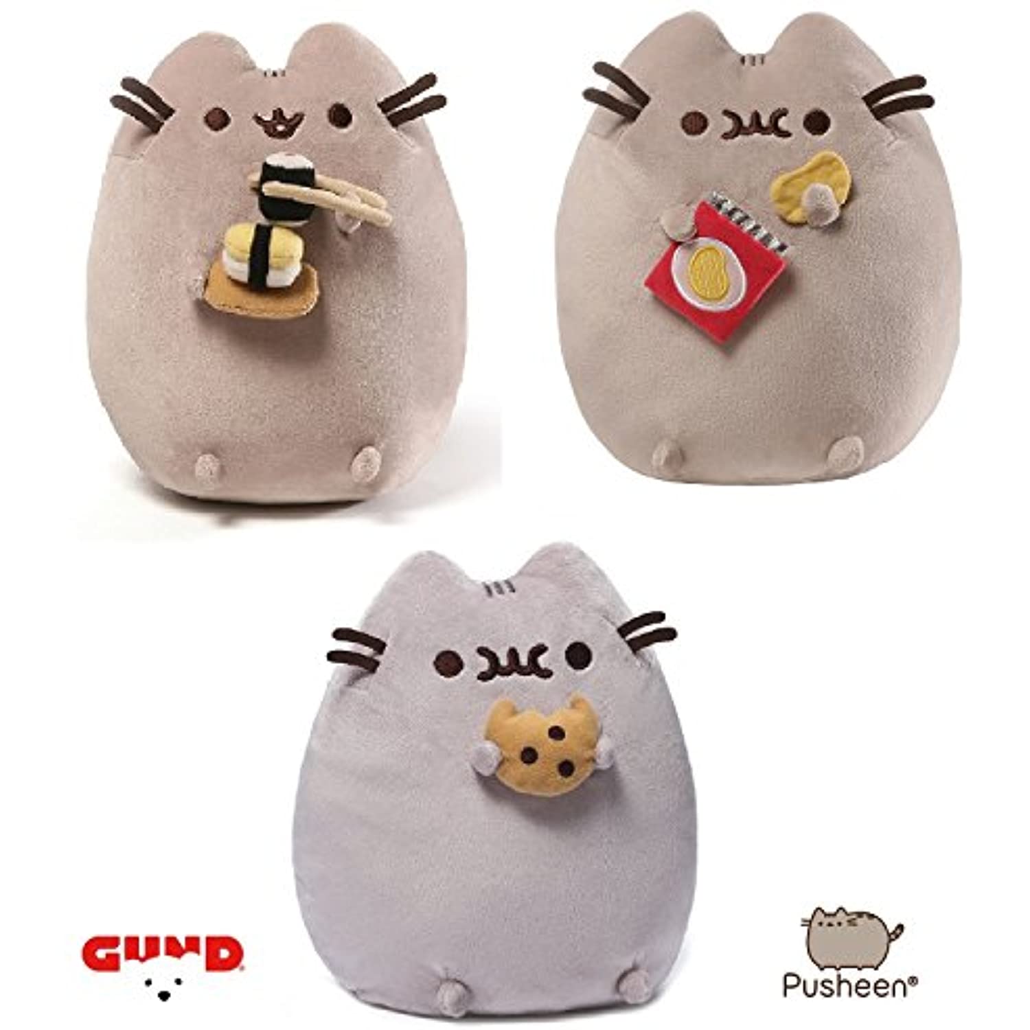 pusheen cat chips