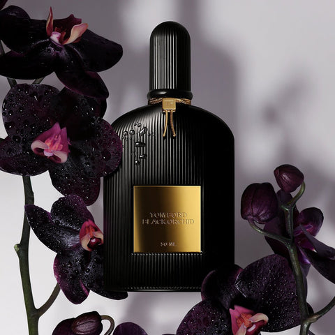 The Ultimate Review of TOM FORD Black Orchid EDP [2022]