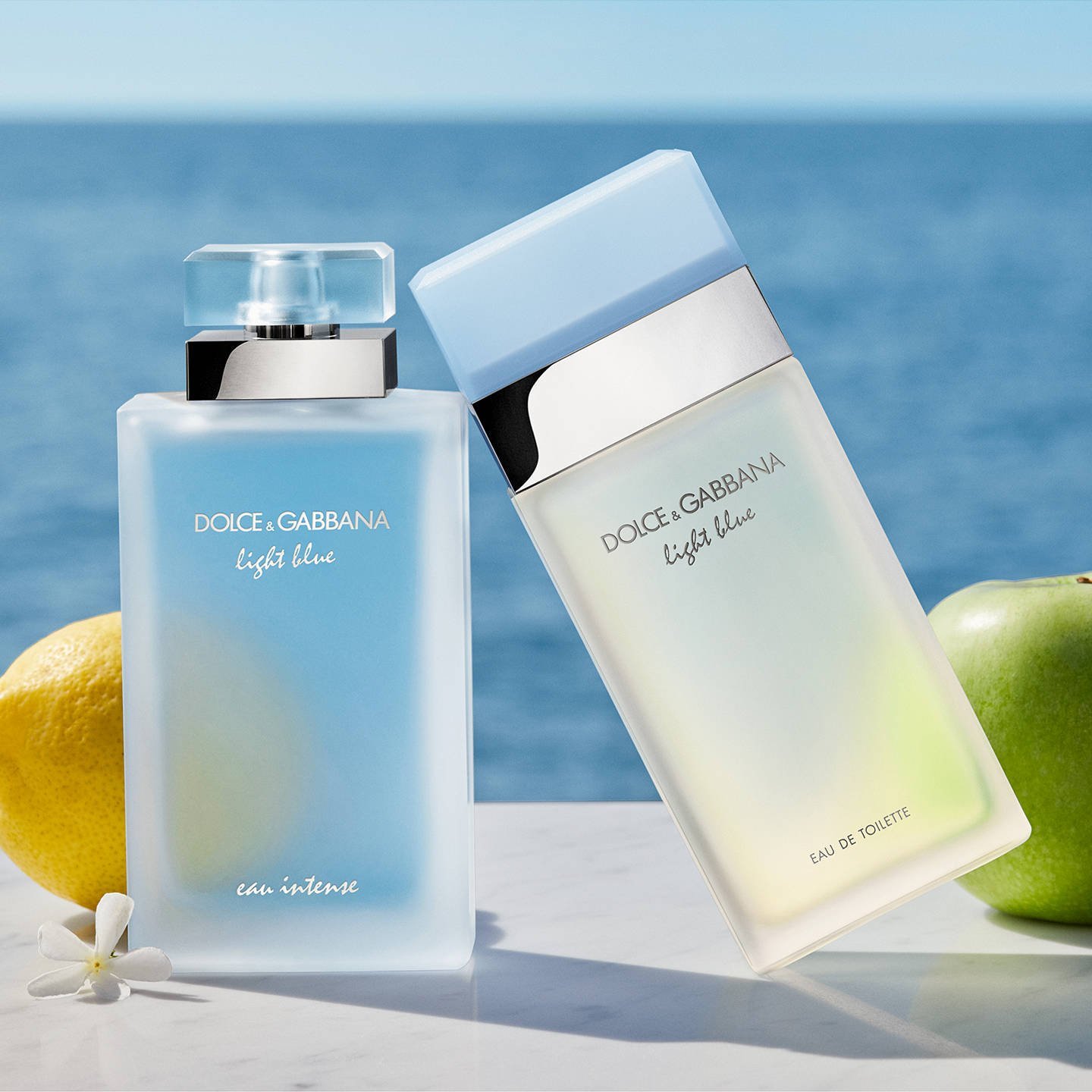 Buy Dolce & Gabbana Light Blue EDT For Her My Perfume Shop