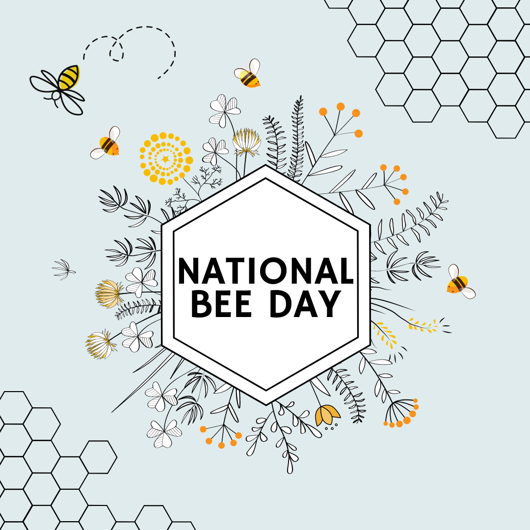 National Bee Day 20th May Chic Stories