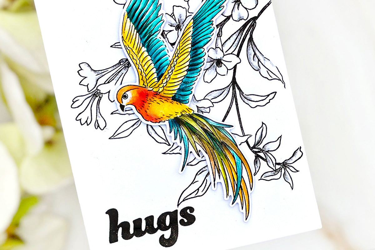 Easy handmade card with stamped tuberoses and a colorful bird die-cut with the sentiment "hugs"