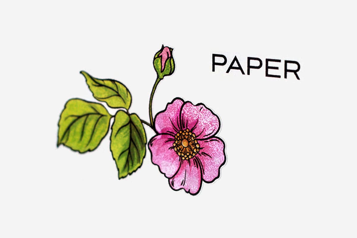 Best Craft Paper Storage: 13 Clever Ideas to Store Cardstock – Altenew