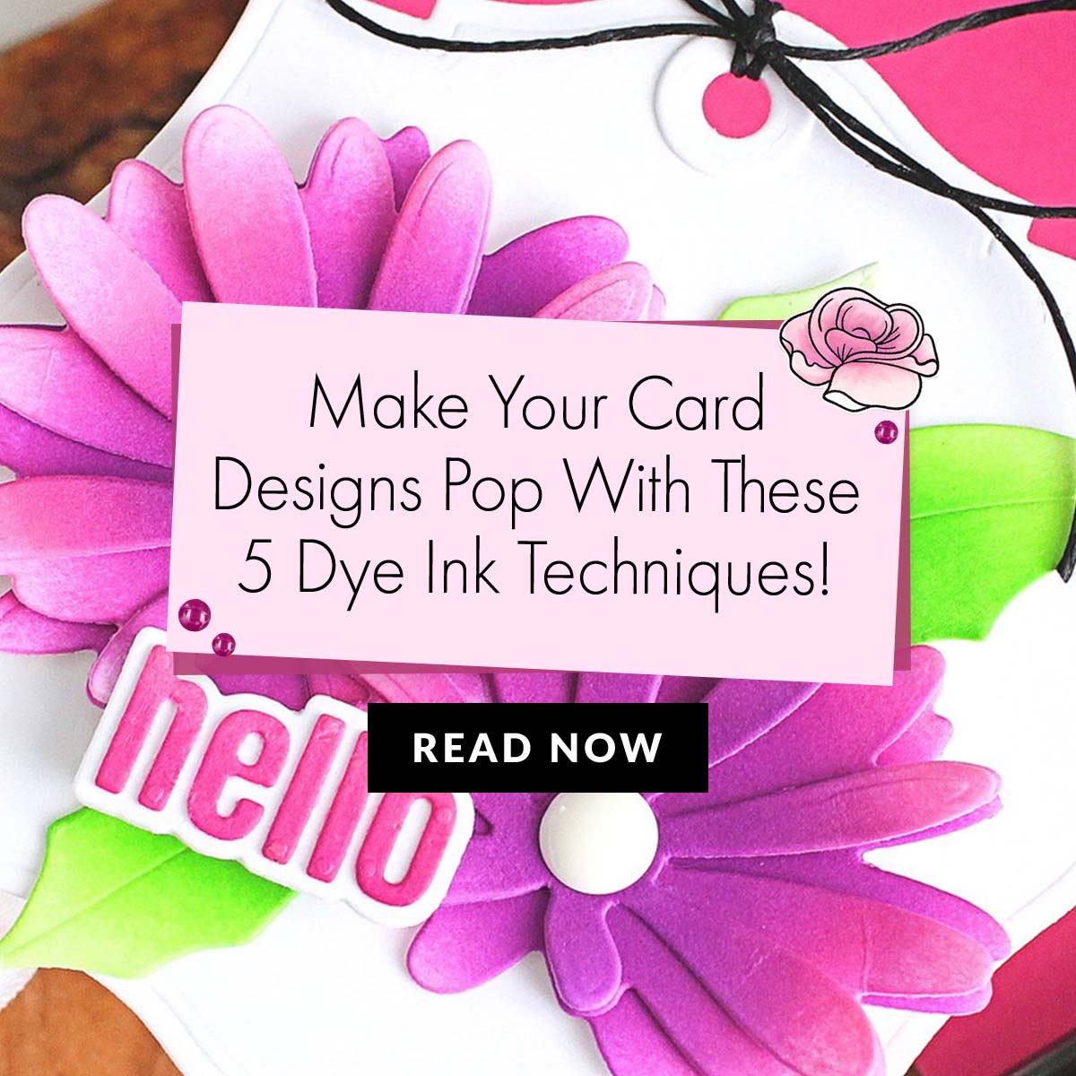 Dye Ink Techniques to Make Your Card Designs Pop!