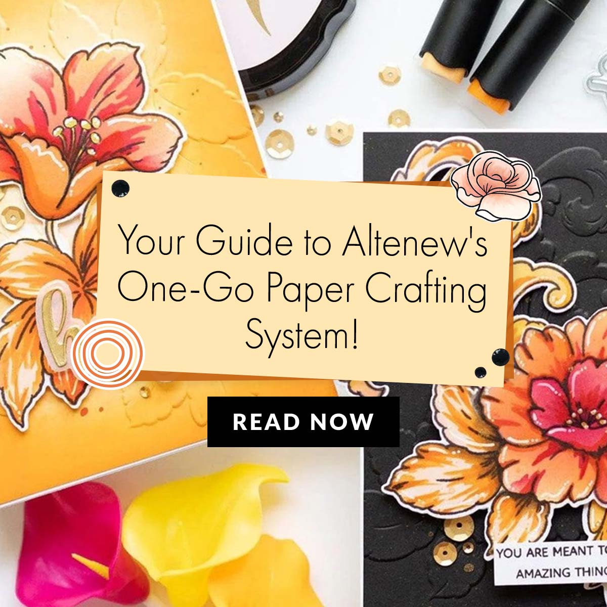 One-Go Crafting 101: Your Guide to Efficient Paper Crafting!