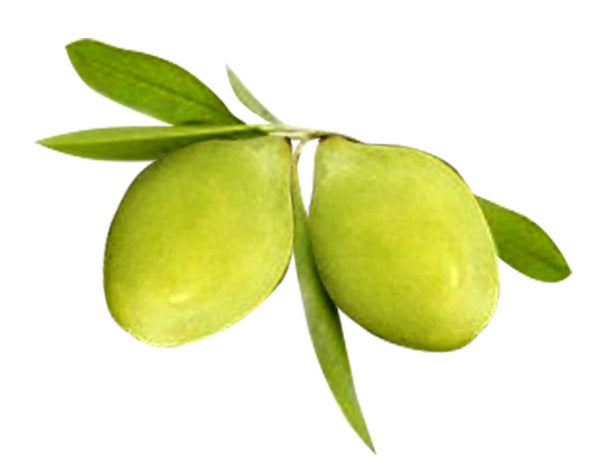 Kakadu Plum<