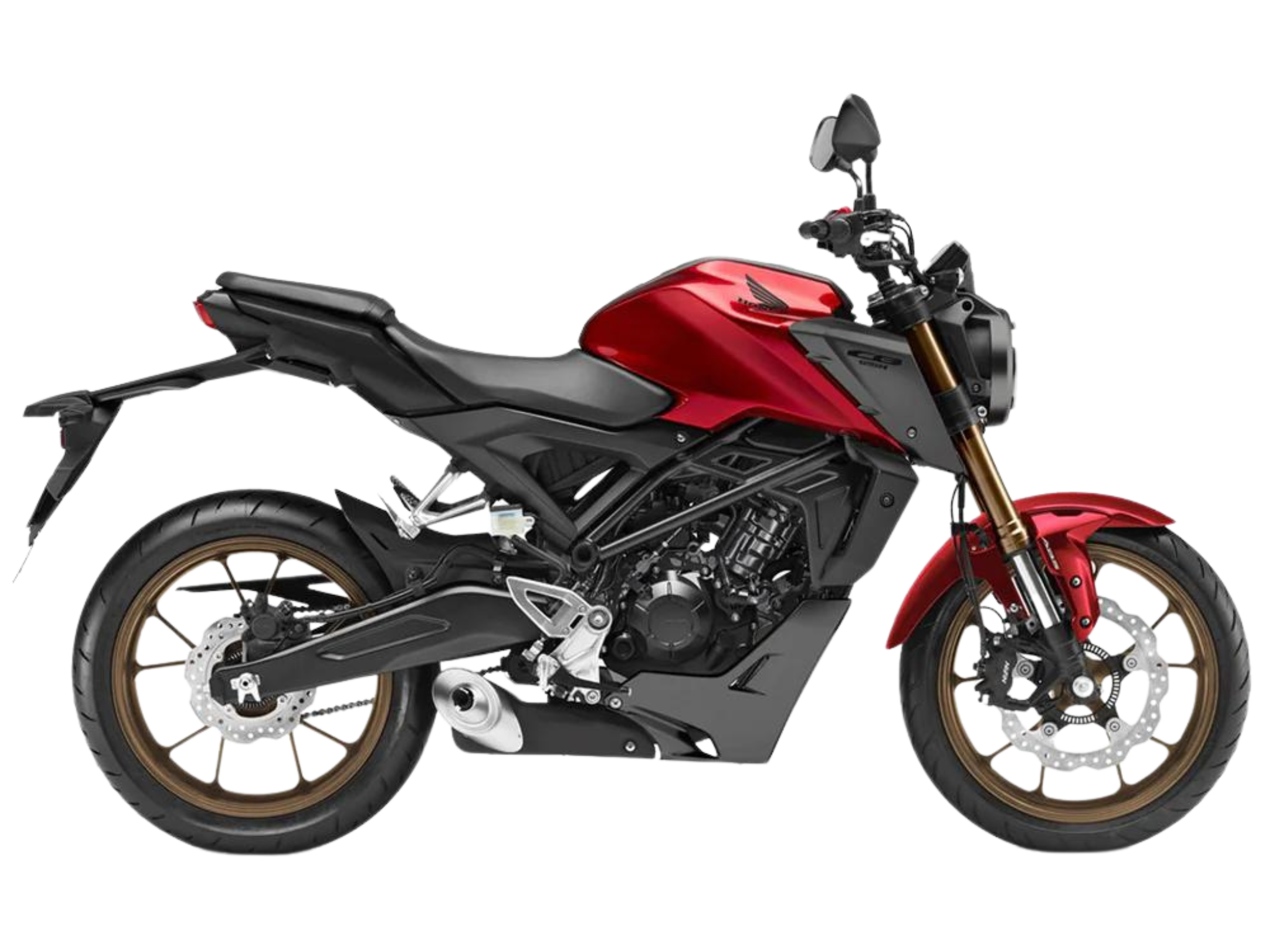 Opinion on the new Voge 525dsx or Voge itself : r/motorcycles