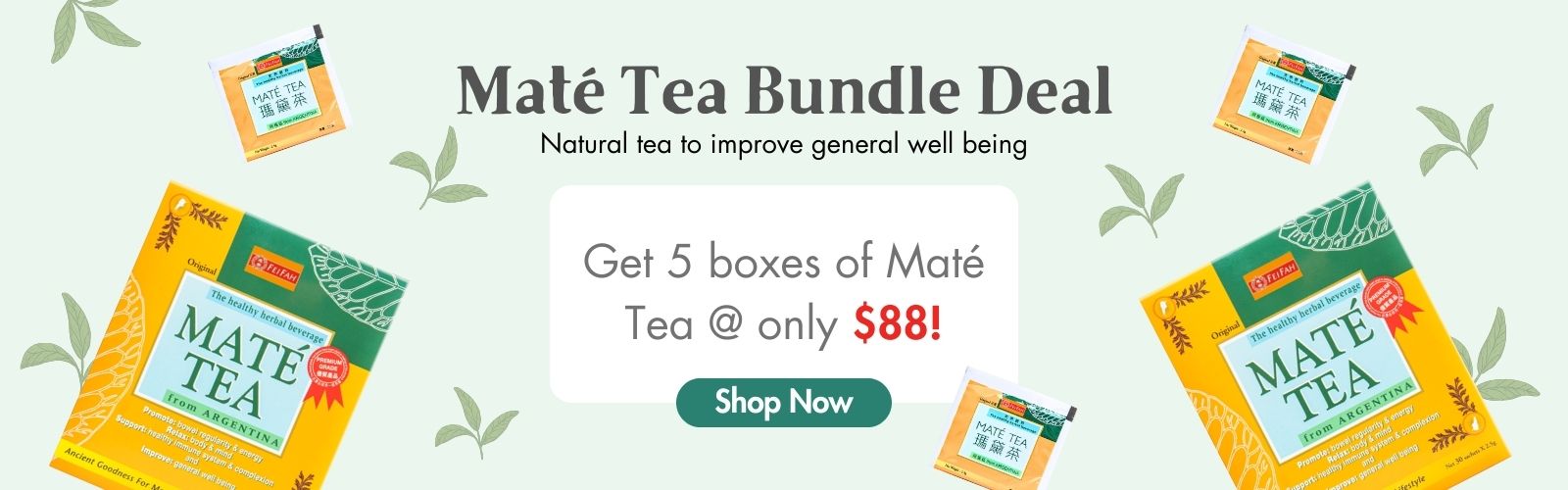 Maté Tea Promo