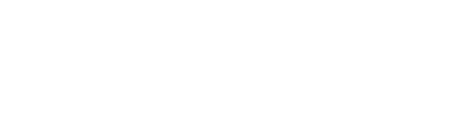 fast-furious-4-logo-wht-nelson-racing-engines.png