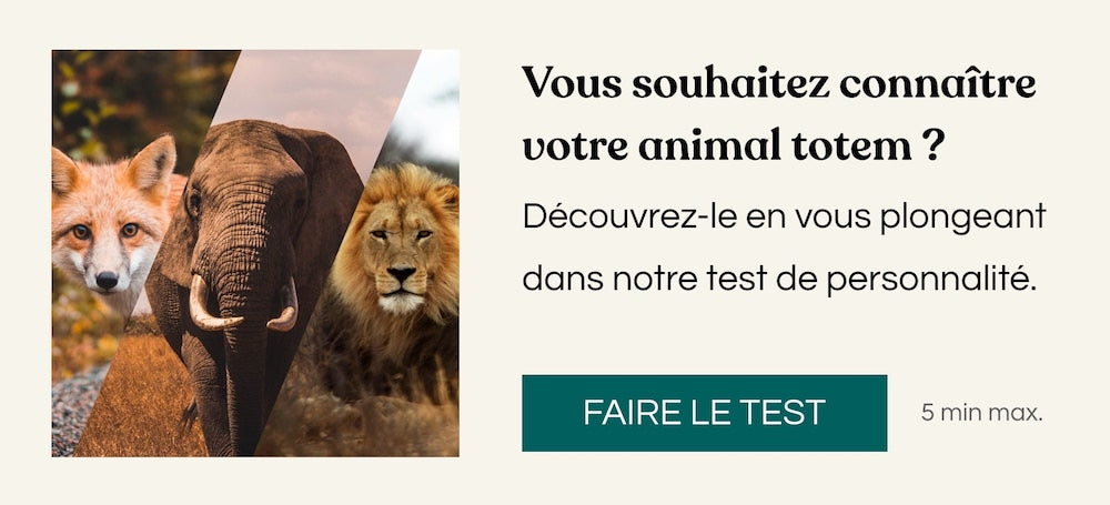 Ne laissez pas un accident lié à un cerf trouer votre