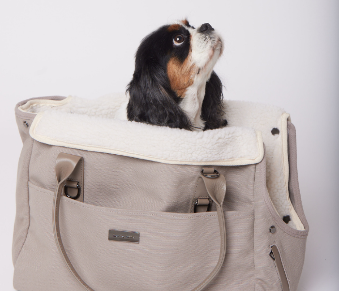 JUICY COUTURE RARE Velvet Pet Carrier Monogram Handbag Travel Tote Brown G  & P | eBay