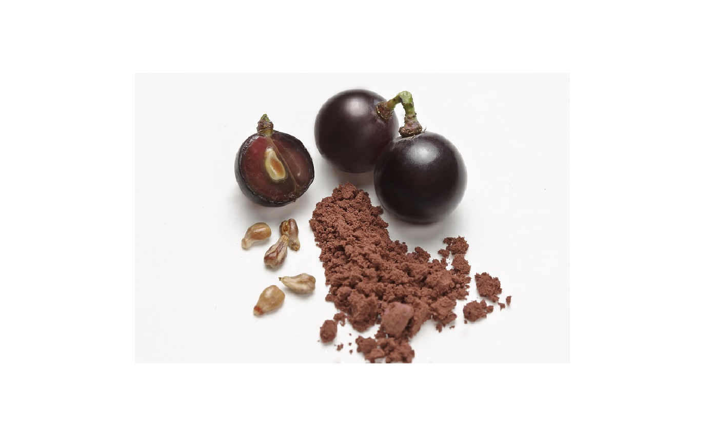 Grape Seed Powder Image