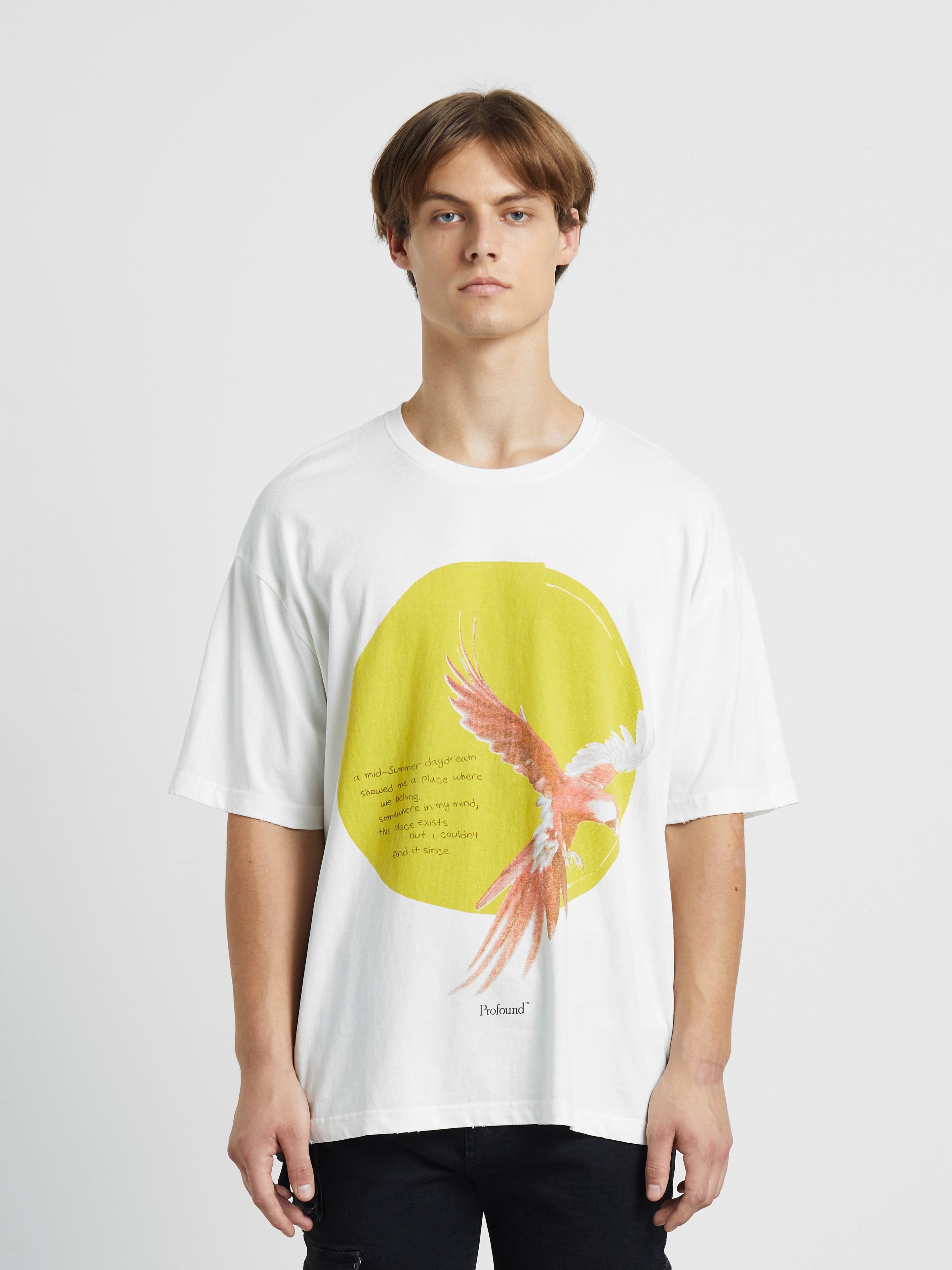 Mid Summer Day Dream Tee