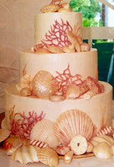 Elaine & Catharine's First Wedding Cake