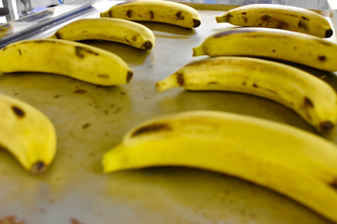 熟成のために一本一本並べられた神バナナ