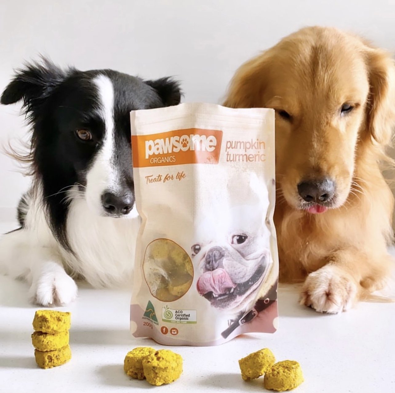 pet organic food