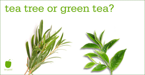 Tea tree or green tea what is difference which is better for skin