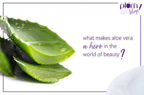 What makes aloe vera a hero in the world of beauty?