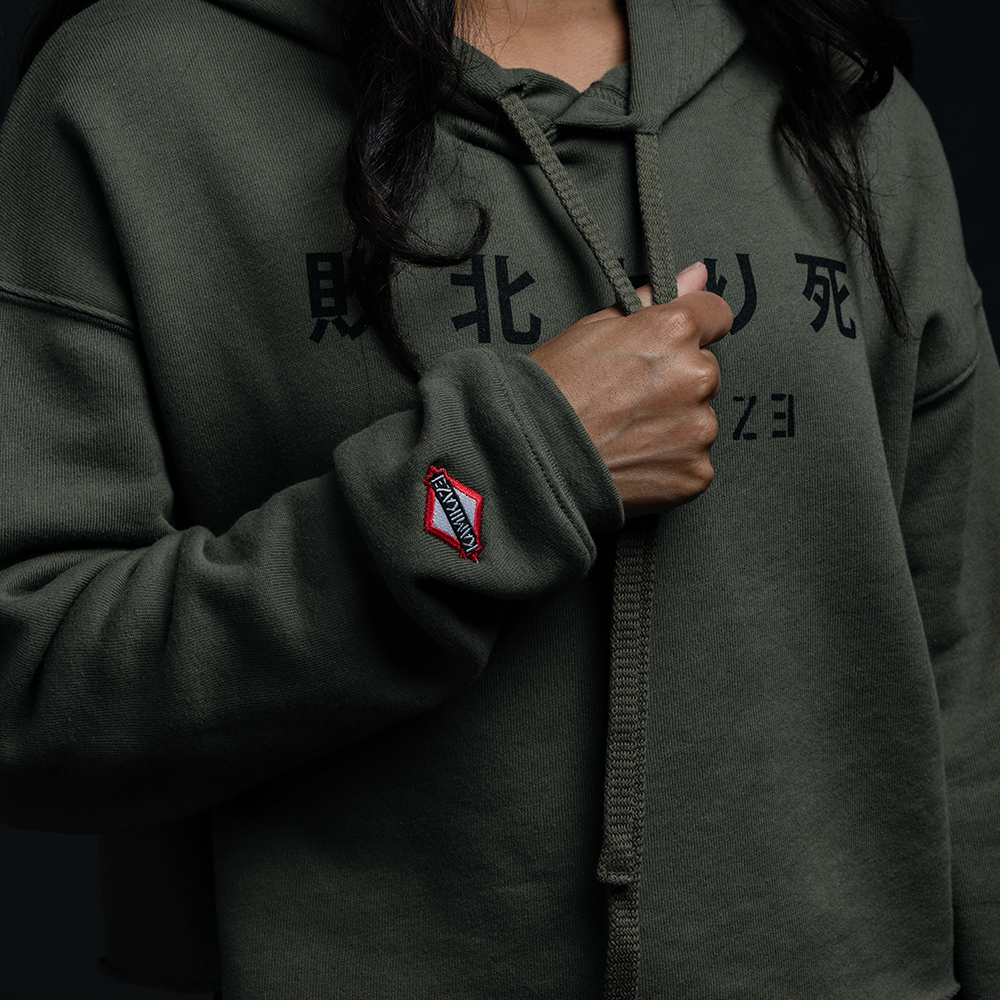 eminem kamikaze cropped hoodie