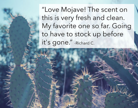 Mojave Private Stock Collection 5 Star Beard Care Review
