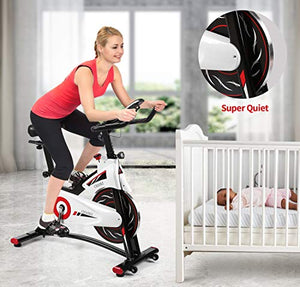 chaoke spin bike