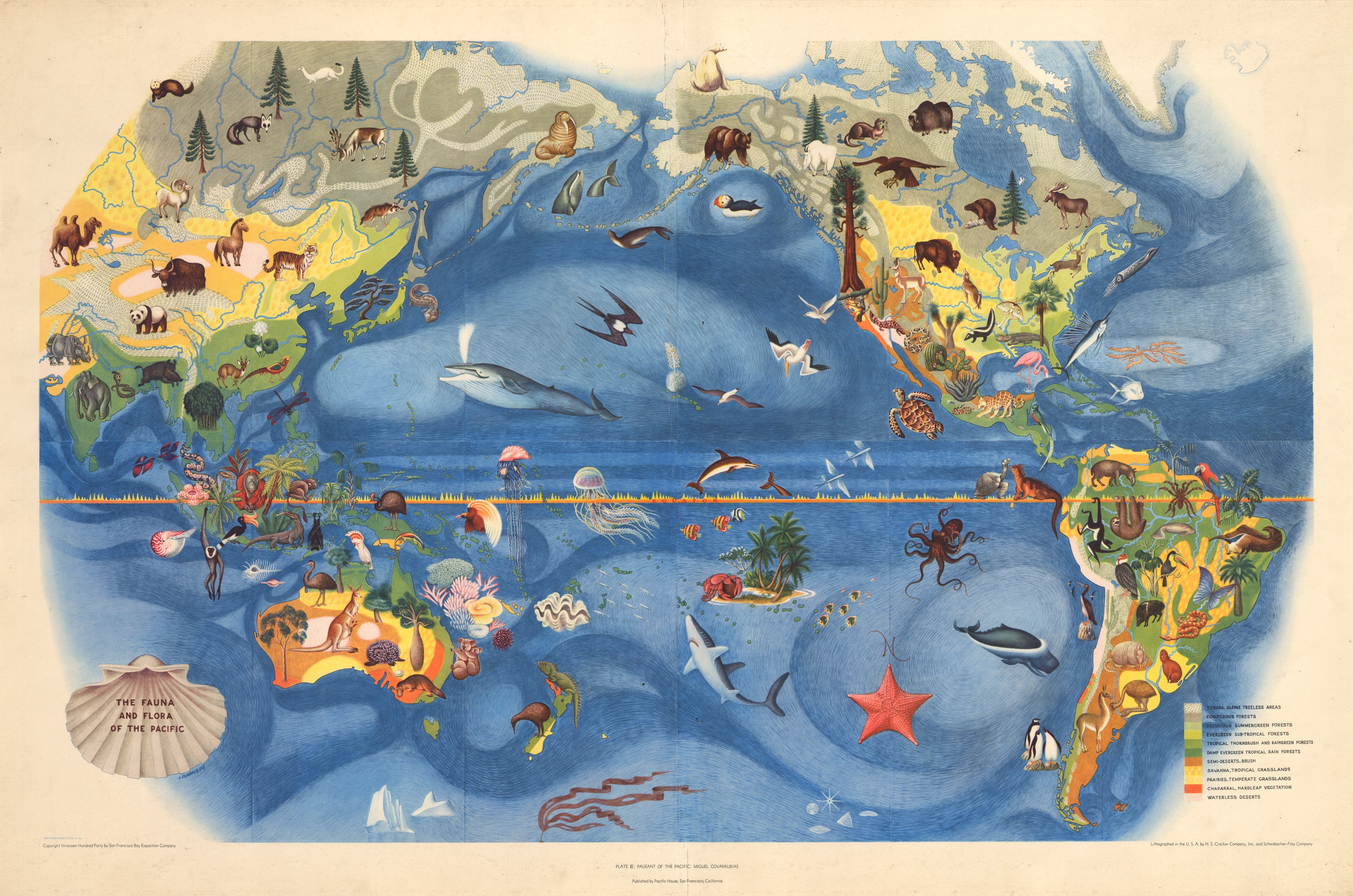 карта островов тихого океана