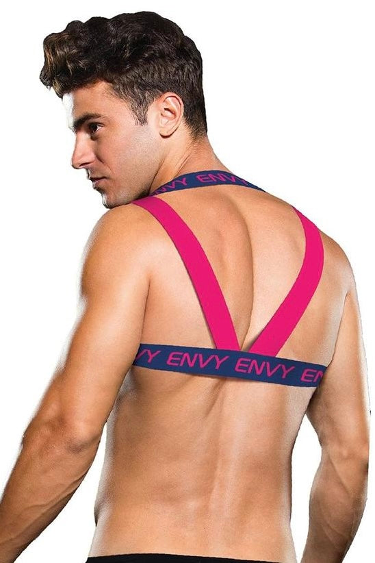 Envy logo harness