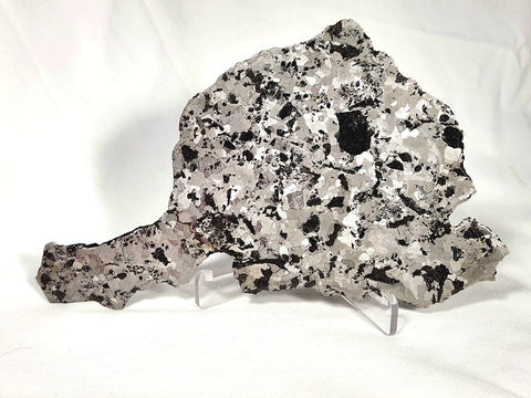 NWA 5549 silicated iron meteorite