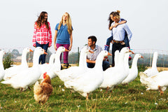 Meet our Free-Range Goose Farmer