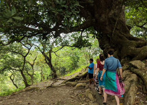 lisa and zoe aggie global farm tour sigatoka adventure discover local produce in fiji new experience tourism