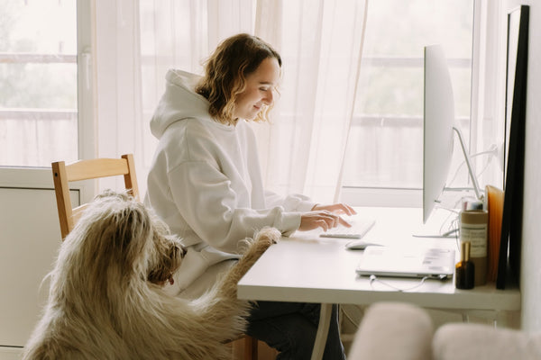 Dog sits with owner who is working on a computer