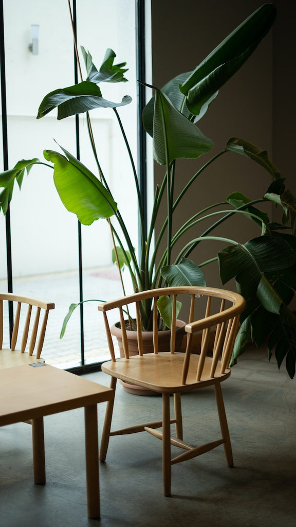 Minimalist Wooden Furniture in Cafe Interior