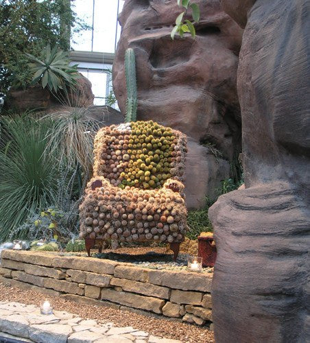 Custom Franklin Park Conservatory Cactus Chair – TY Fine ...