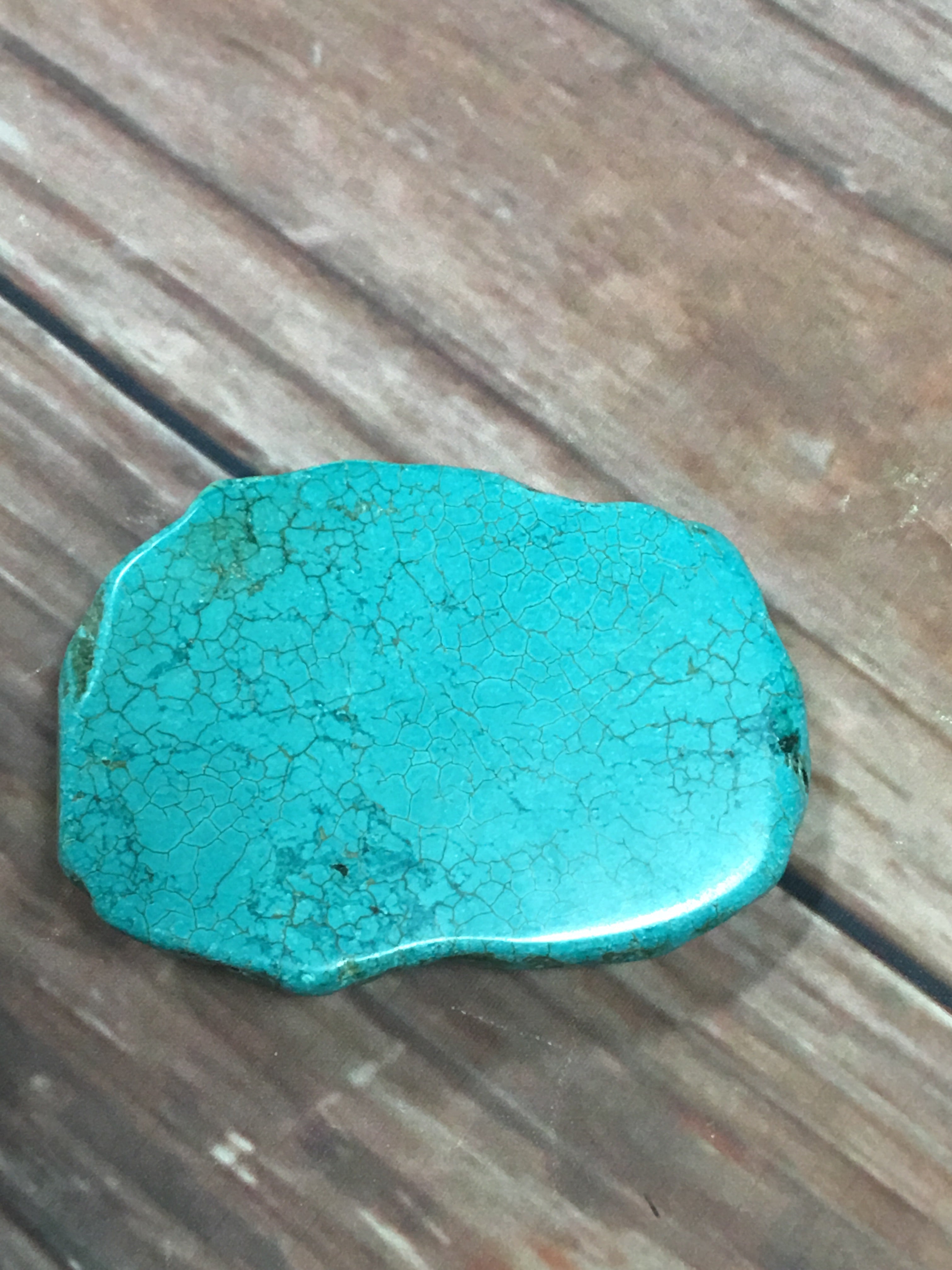 turquoise belt buckle