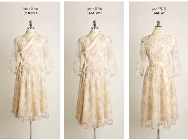 A complete view of the sand flower modern hanbok dress.